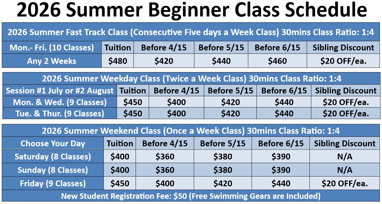 summer2026 beginner (2)